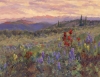 Indian Paintbrush Sunset by Jan Bushart